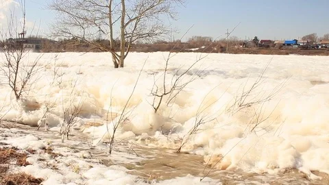 Foam stream down the river Stock Footage 75037172