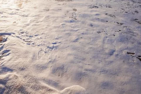 Foam on the surface of the waves in the ocean close-up Stock Photos