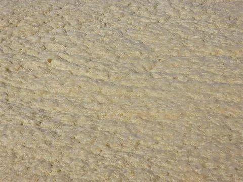 Foam Texture Dances Under Sunlight on a Calm Summer Day Stock Photos