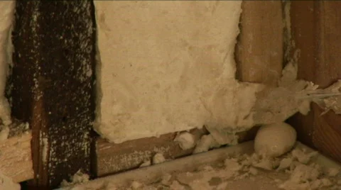 Foam wall 3 库存影片 702114