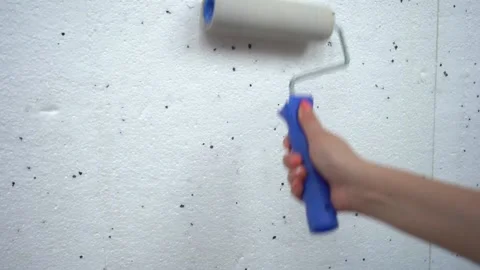 Foam wall covering with roller Stock-Footage 160074215