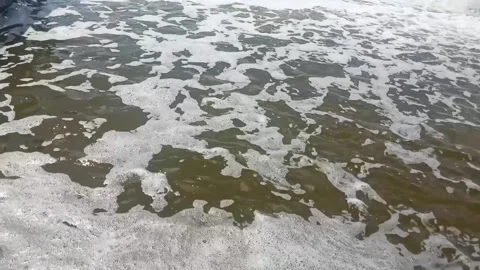 Foam water bacterial Stock Footage 229676598