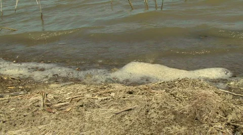 Foam in water Stockbeeldmateriaal 581865