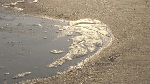 The foam wave is absorbed into the sandy shore. Vidéo 135440803
