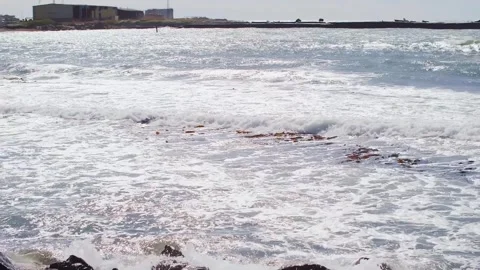 Foam waves of on the sea Stock Footage 316831086