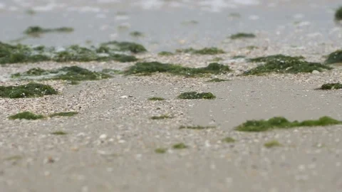 Foam waves on the seashore Vídeo Stock 82610234