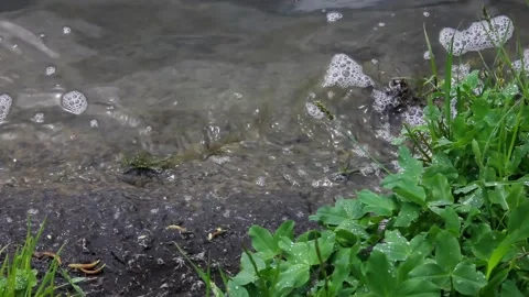 Foaming clear water waves splashing along the river bank Stock Footage 158244334