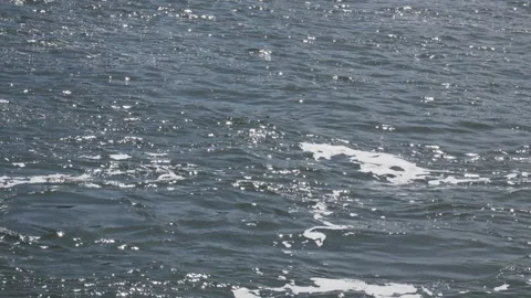 Foaming gray green blue river water flows from left to right as the sun glis Stock Footage 242306548