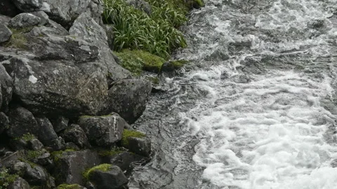 A foaming mountain stream cascades through rugged terrain Stock Footage 255505170