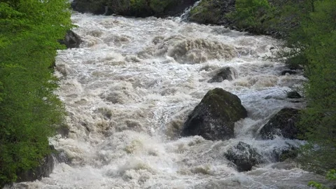 Foaming muddy river surges through forest with violent current - Churning Water Stock Footage 339792294
