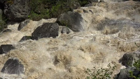Foaming muddy river surges through forest - Churning Current and Sediment Plume Stock Footage 339792308