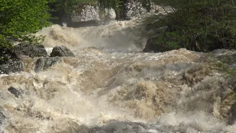 Foaming muddy river surges through forest - Churning Current and Brown Sediment Stock Footage 339792314