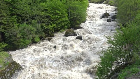 Foaming muddy river surges through forest - Riverbank Erosion and Rushing Water Stock Footage 339792362