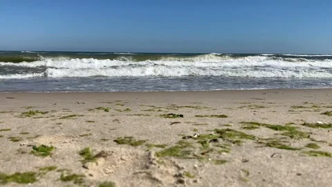 Foaming ocean waves roll on beach and wild seagulls fly Stock Footage 139771682