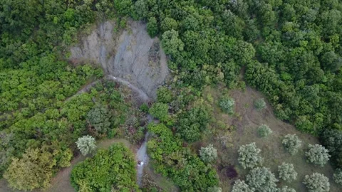 Foaming river crossing dense Mediterranean forest near olive meadow field Stock Footage 344094774