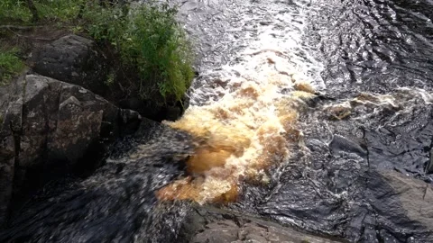 Foaming River Rapids Flowing Over Dark Rocks in Forest Video stock 343858379