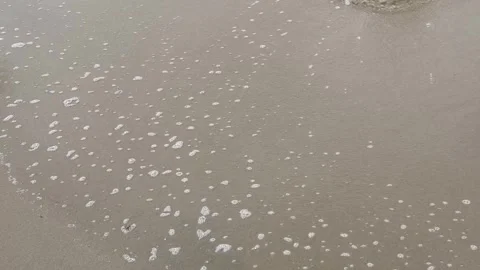 Foaming sea waves on a sandy beach. Stock Footage 316117605