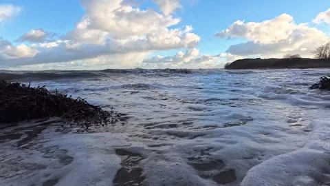 Foaming slow motion waves splashing over seaweed debris on sunrise beach Stock Footage 325593766