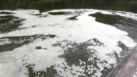 Foaming water in a river Vídeo Stock 334452542