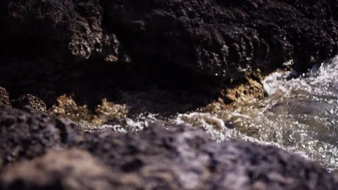 Foaming water rushing over dark wet rocks in sunlight, nature close up detail Stock Footage 341580135