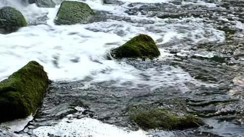 Foaming water stream between stones 動画素材 136314224