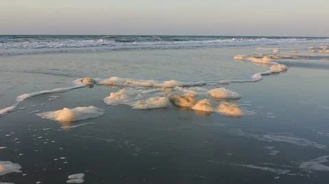 Foamy beach Stock Footage 11145850
