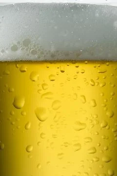 Foamy beer Stock Photos
