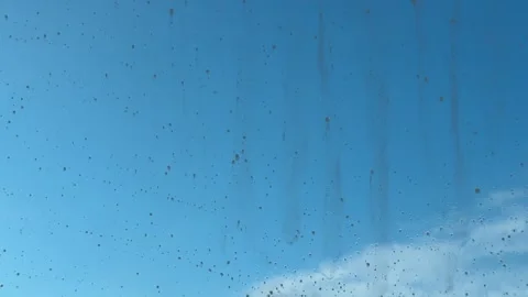 Foamy Car Window Washing from Interior, Water Spray Detail Stock Footage 331726423