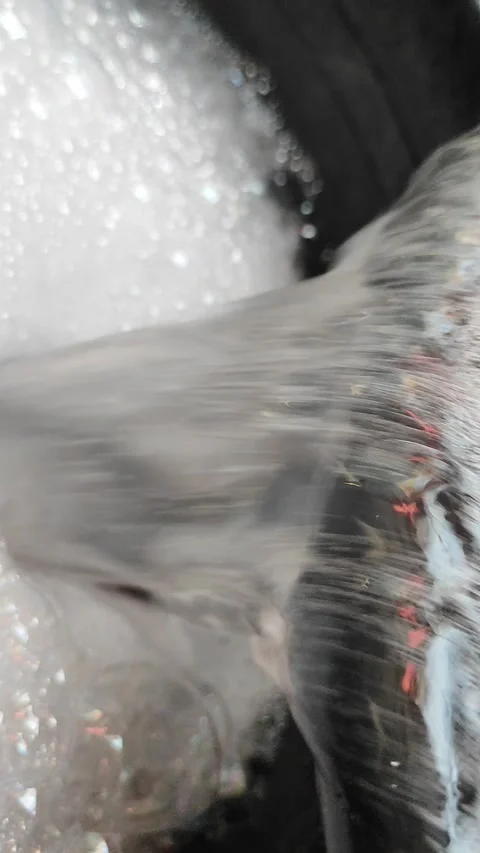 FOAMY 스톡 동영상 333077608