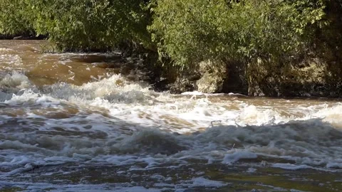 Foamy Lower River on a Spring Day Stock Footage 305096328