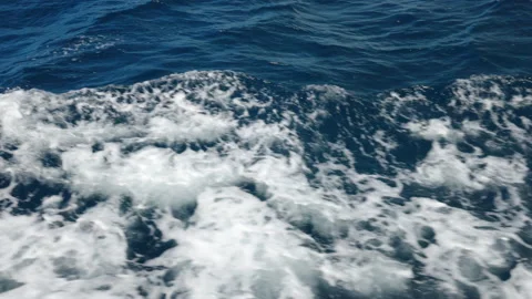 Foamy sea waves Stock Footage 219969326