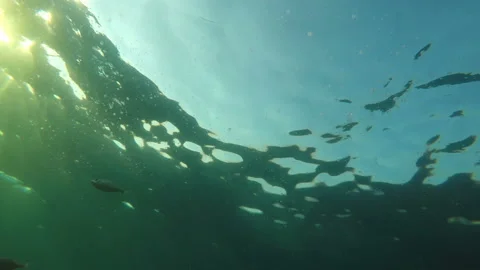 Foamy waste impurity bubbles on sea surface Vidéo 158011344