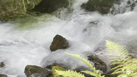 Foamy water flowing cascading over brown rocks with sunlight Stock Footage 285950580