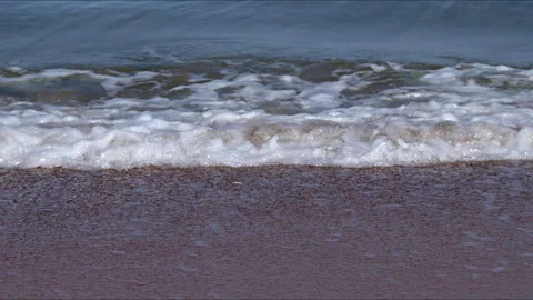 Foamy Waves Crashing on a Sandy Ocean Beach Stock Footage 309893086