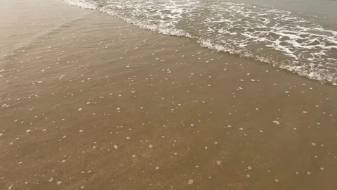 Foamy waves on the sandy beach Stock Footage 161016192