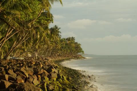 Foamy waves under long exposure with moss covered rocks and line of coconut t Stock Photos