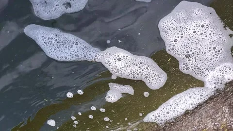 Foamy white water bubbles floating on dark river surface close up. Stock Footage 344562403