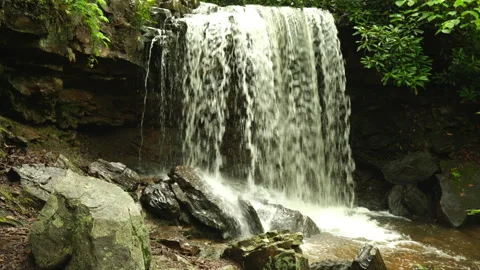 Fobes State Park Waterfall in Timelapse Stock Footage 310844063