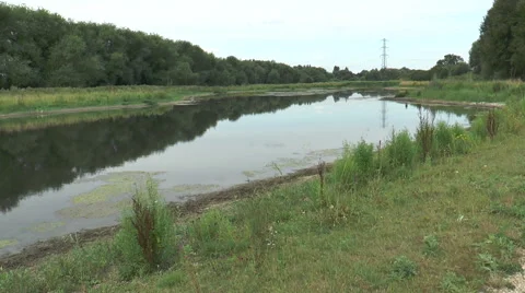 Fobney nature reserve 50 Stock Footage 40688596