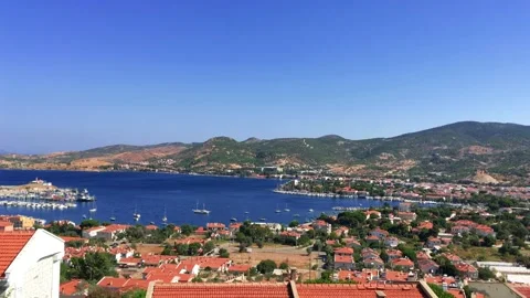 Foca 2019 Stock Footage 145258611