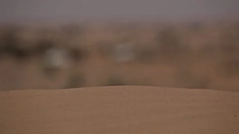 Focal change between emptiness and life 스톡 동영상 152311728