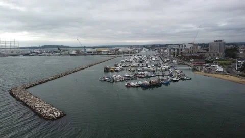 Focal item, shot type, time of day, 4K UHD Stock Footage 169368446