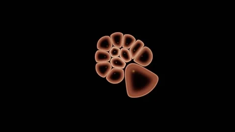 Focal Plane Pulls Through A Living Cell Culture Vídeos de archivo 344512565