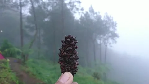 Focud on objek Stock Footage 213568906