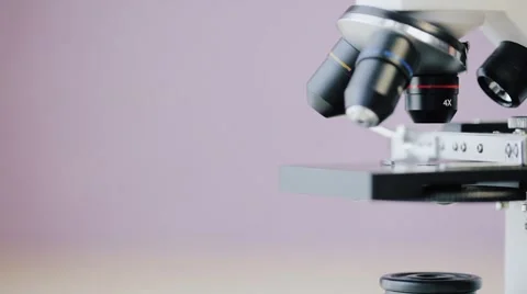Focus adjustment of the microscope Stock Footage 59948974