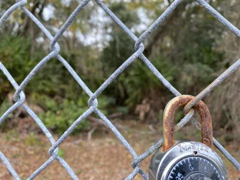 Focus alone Foto stock