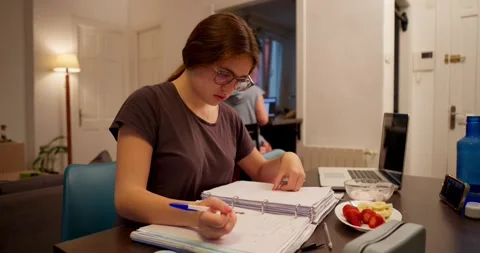 Focus and study: Stock Footage 334775874