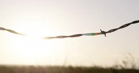 Focus on Barbed Wire during Sunrise in Texas Stock Footage 255588621