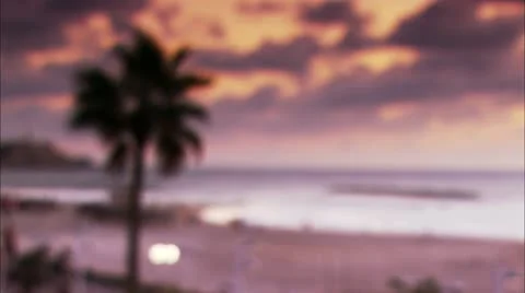Focus onto beach and palm tree Vídeo Stock 12761322