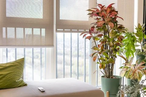 Focus on beige roller blinds in the interior Stock Photos